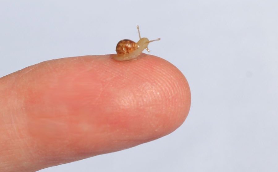 ِ (@controdicting) on Twitter photo 