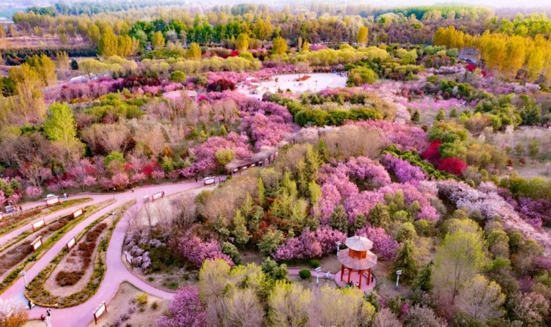 DiscoverAnyang's tweet photo. Anyang's 2025 Qingming Holiday Tourism Boom: 2.18M Visitors Generate 1.3B CNY
⚡ Hongqi Canal Scenic Area   
🏛️ Yin Xu Museum &amp; Chinese Writing Museum  
🏡 Ma's Manor 
🌼 Countryside Getaways  
#Adventures 
#CultureMeetsNature 
#OracleBoneTourism 
#SpringEscapes https://t.co/R5VAtYdDI6