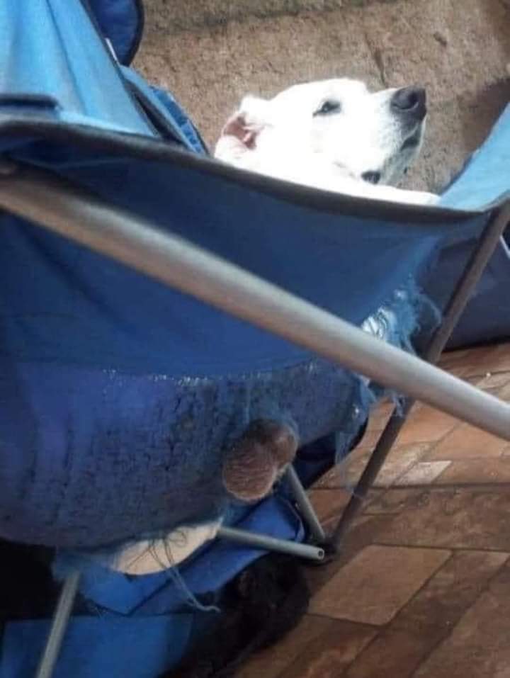 Cuando me pongo el bóxer de la suerte.