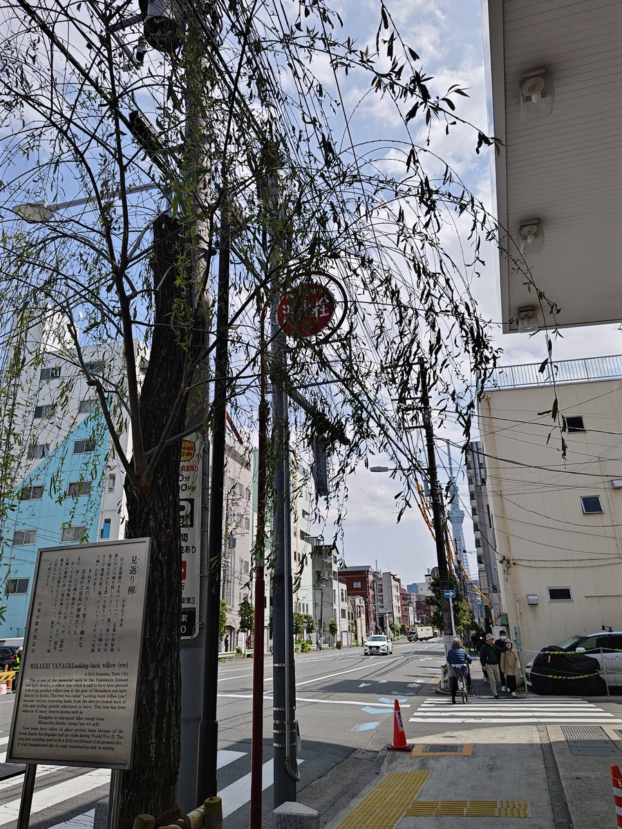 smithsyoshi's tweet photo. #見返り柳　に到着。遠方に　#東京スカイツリー　が見えます。 https://t.co/EcfctlmABX