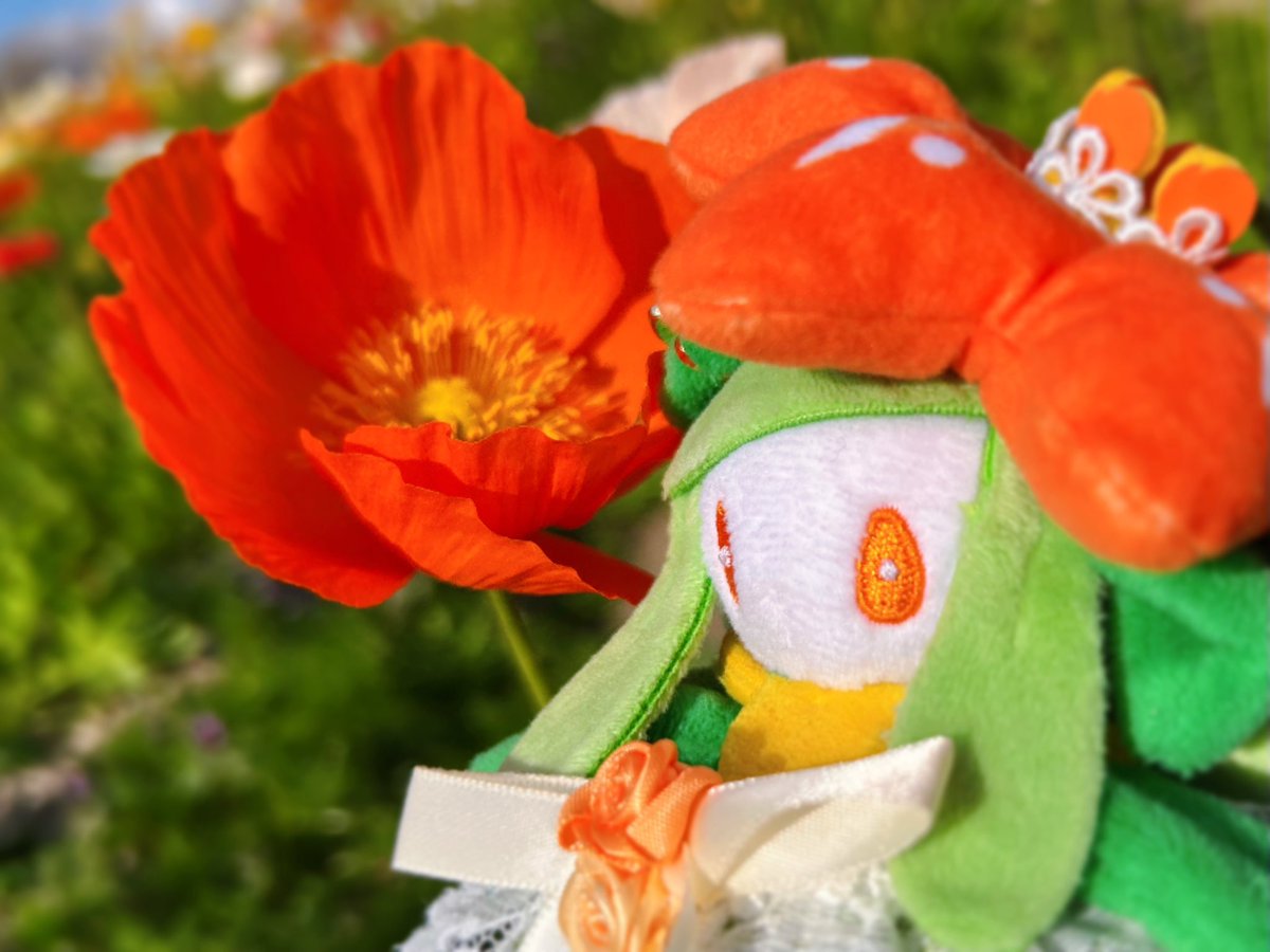 みひめかおり tweet media