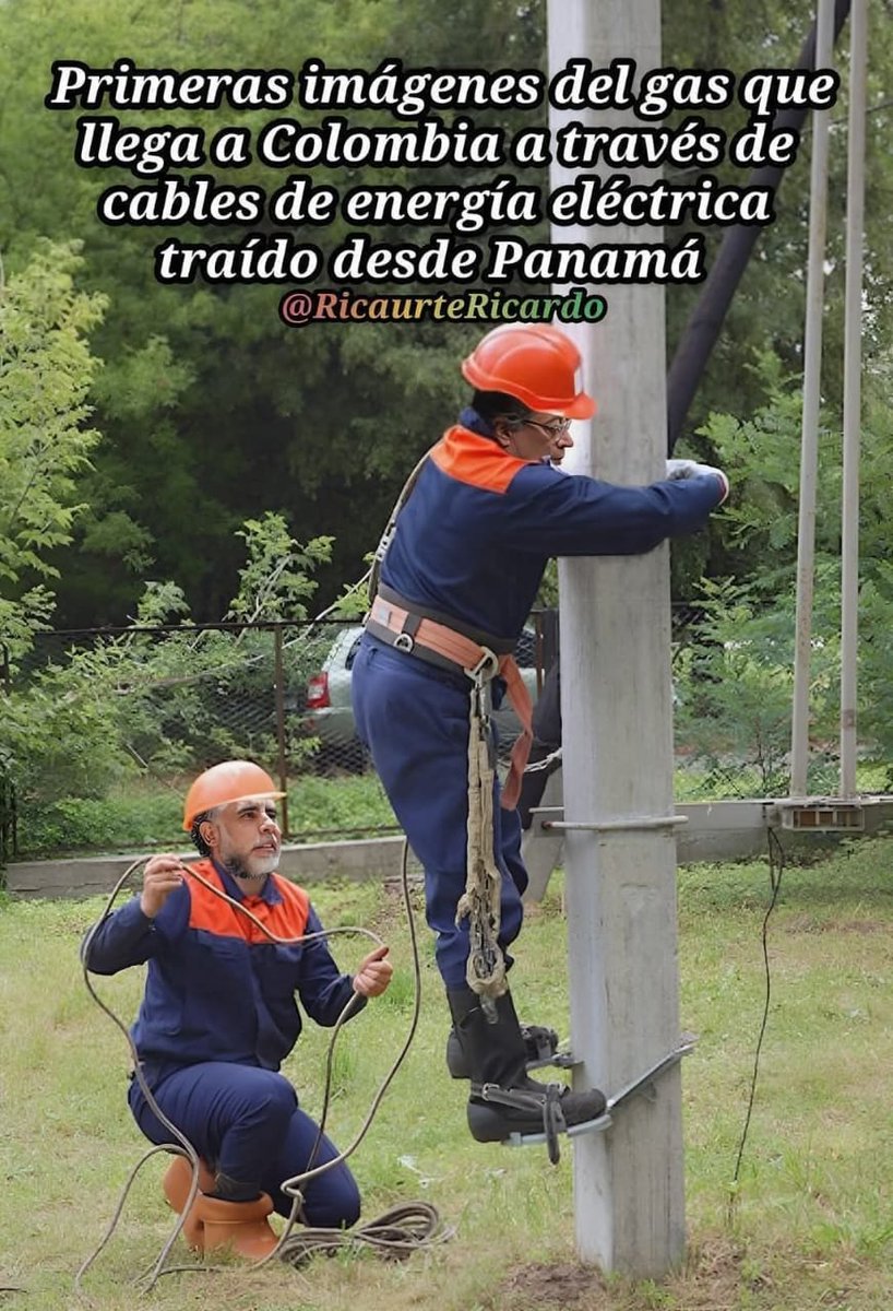 Insólito