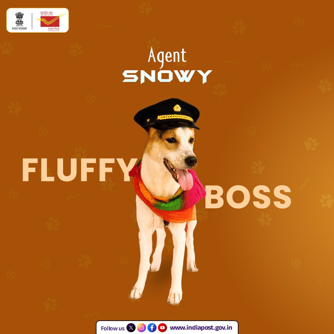 IndiaPostOffice's tweet photo. Join the #PetsOfIndia Photography Contest – Top 10 winners will win rewards up to ₹1.40 Lakh* and get a chance to feature their pet on an official picture postcard. 🏆🐶🐱
HURRY!!! 📸
Last date to participate: 30th April. https://t.co/iunvo81pAs