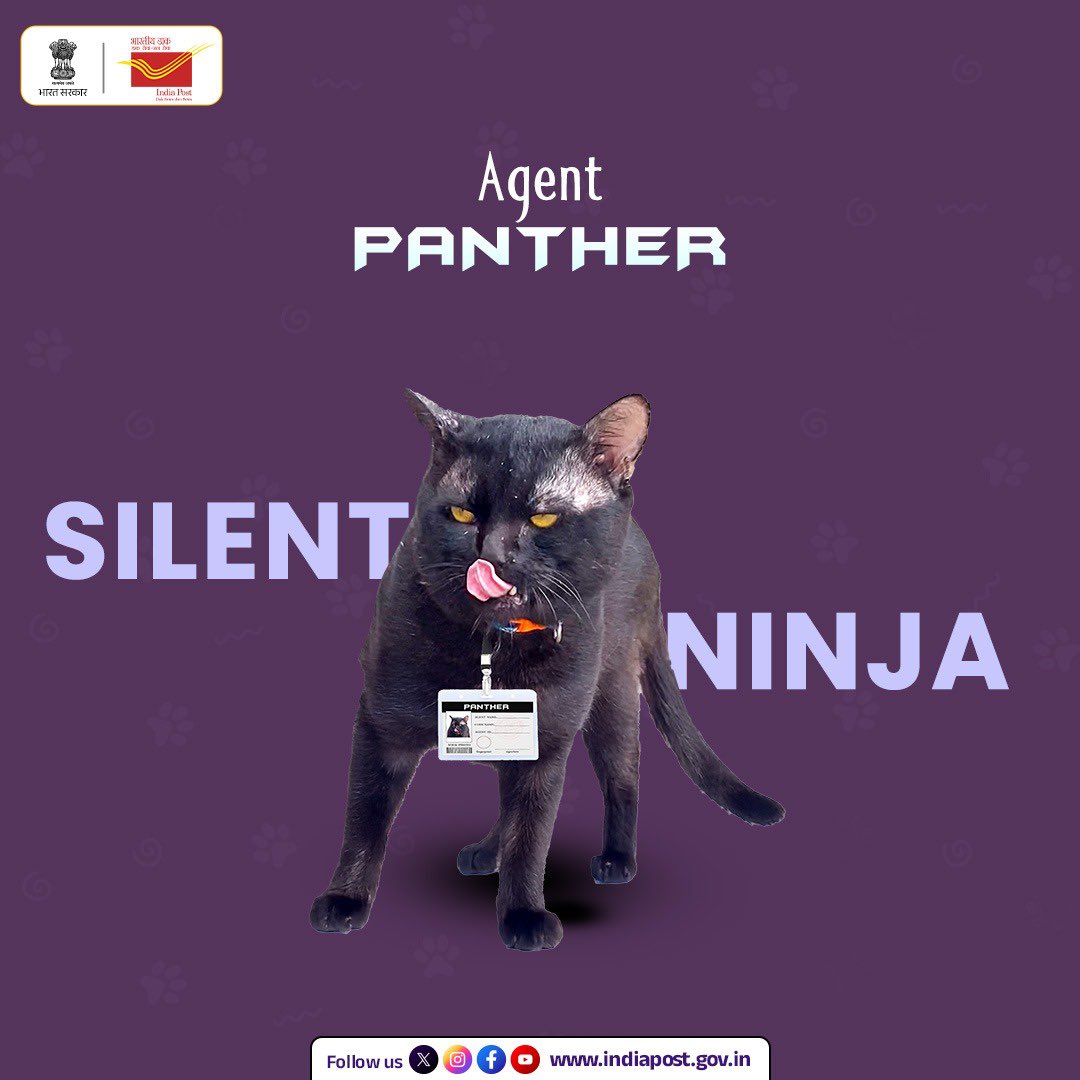 IndiaPostOffice's tweet photo. Join the #PetsOfIndia Photography Contest – Top 10 winners will win rewards up to ₹1.40 Lakh* and get a chance to feature their pet on an official picture postcard. 🏆🐶🐱
HURRY!!! 📸
Last date to participate: 30th April. https://t.co/iunvo81pAs