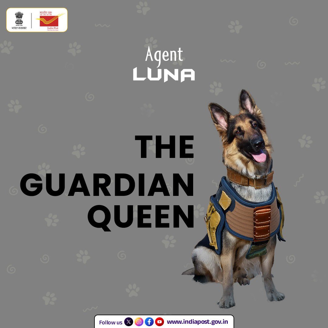 IndiaPostOffice's tweet photo. Join the #PetsOfIndia Photography Contest – Top 10 winners will win rewards up to ₹1.40 Lakh* and get a chance to feature their pet on an official picture postcard. 🏆🐶🐱
HURRY!!! 📸
Last date to participate: 30th April. https://t.co/iunvo81pAs