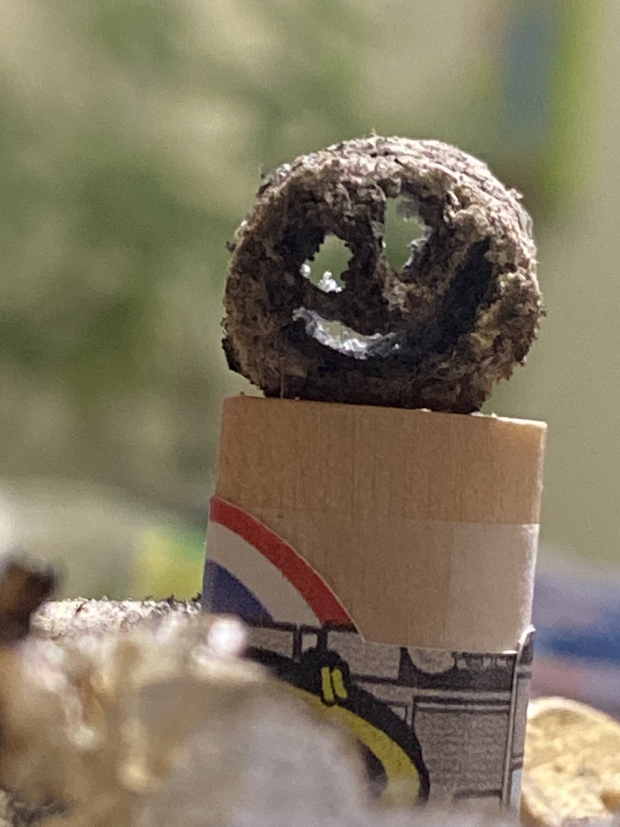 CocoCustoms_'s tweet image. Smiley face hash hole