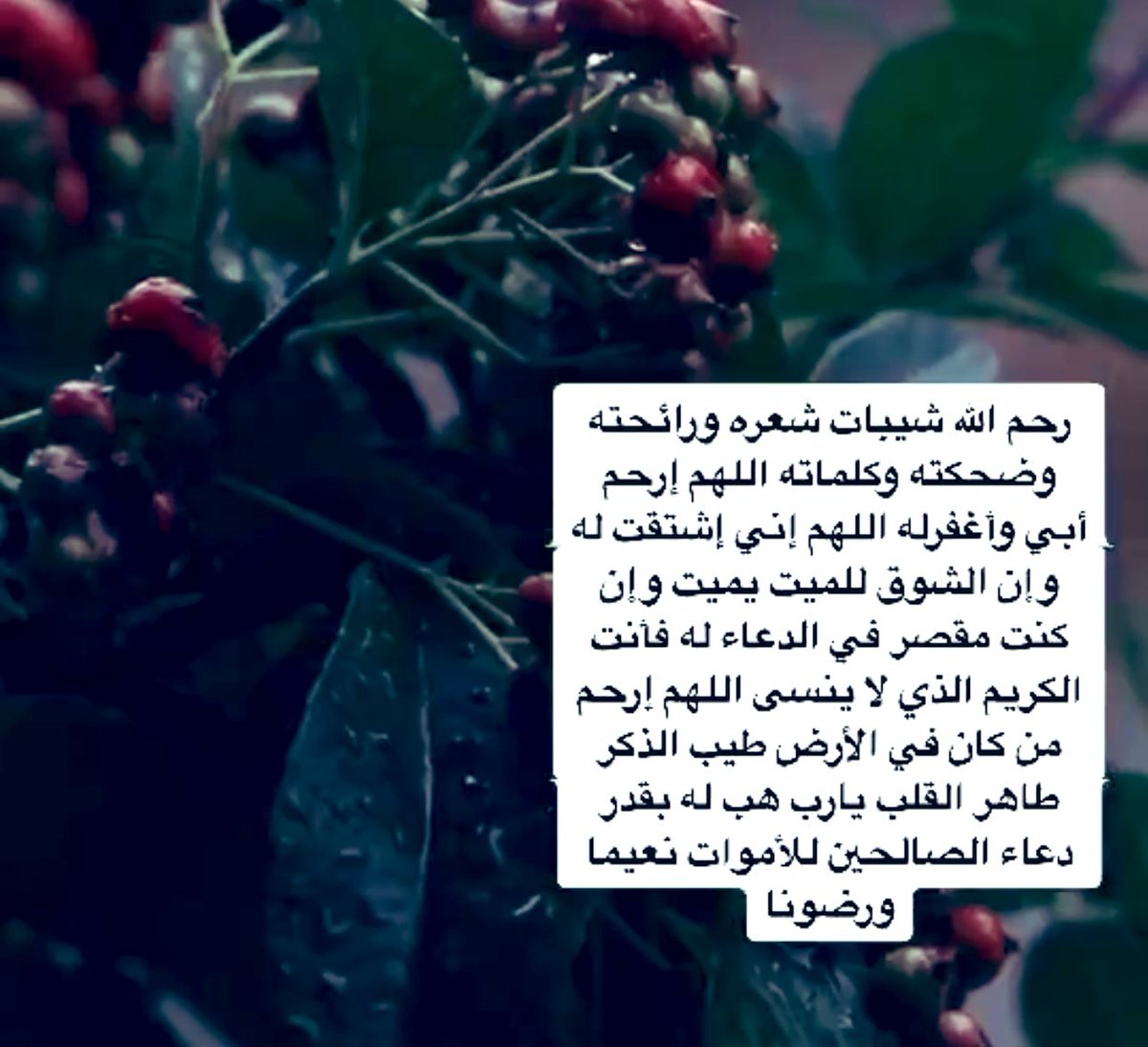 mohammedwehdany's tweet photo. #صباحيات https://t.co/gMhvbCJORg