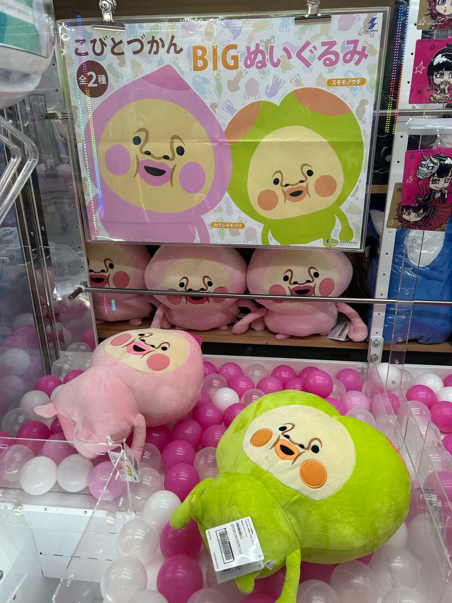 マンガ倉庫加納店アソビバ景品入荷情報です！ ・こびとづかん BIG