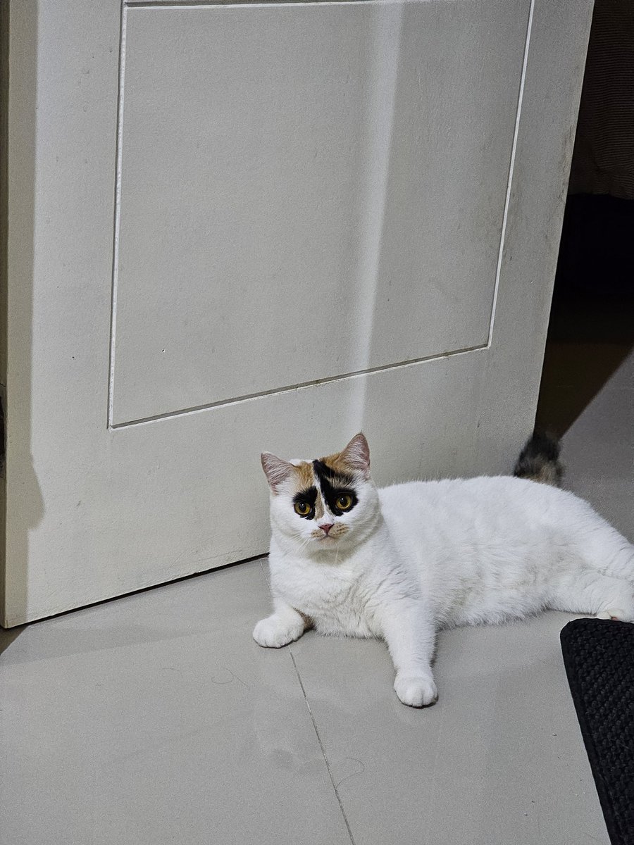 cielbatman's tweet photo. Foto tadi malam https://t.co/sQoh9Z2cdl