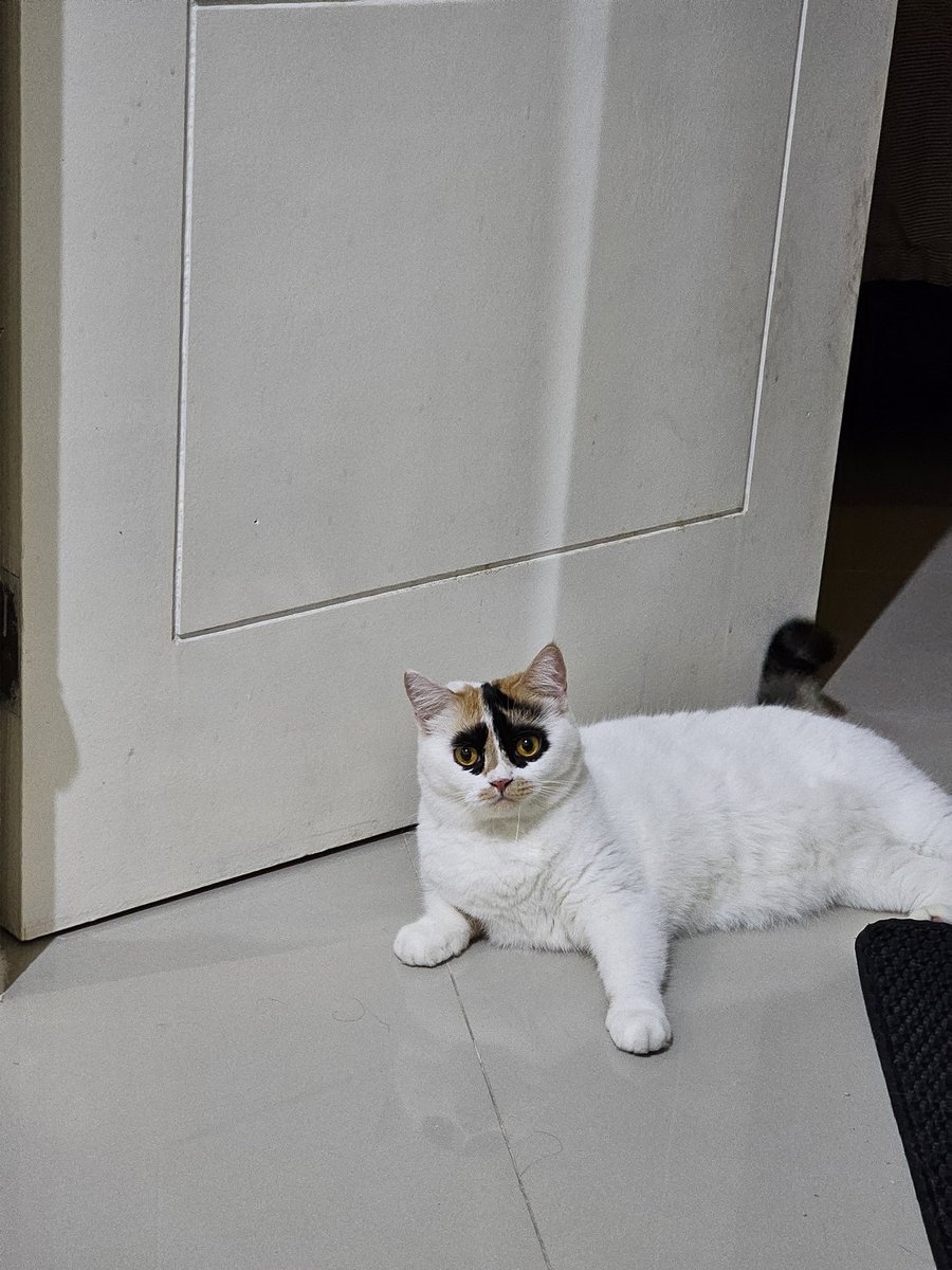 cielbatman's tweet photo. Foto tadi malam https://t.co/sQoh9Z2cdl