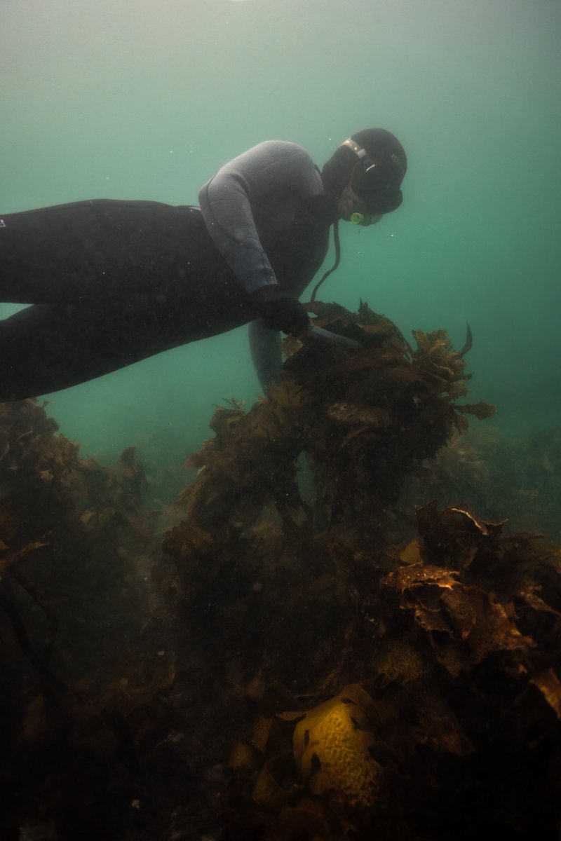 SEACS @seacs.bsky.social tweet media