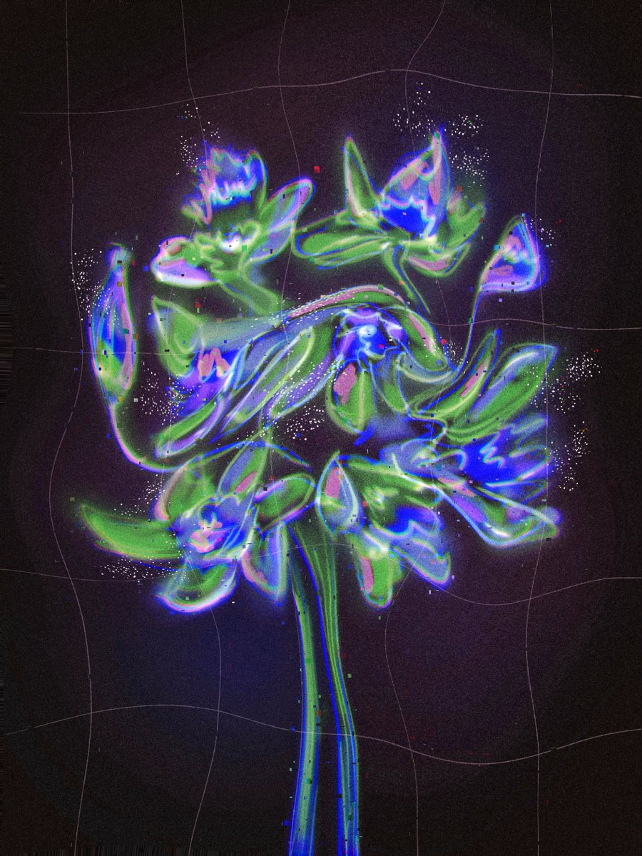 Iris 🐝 tweet media