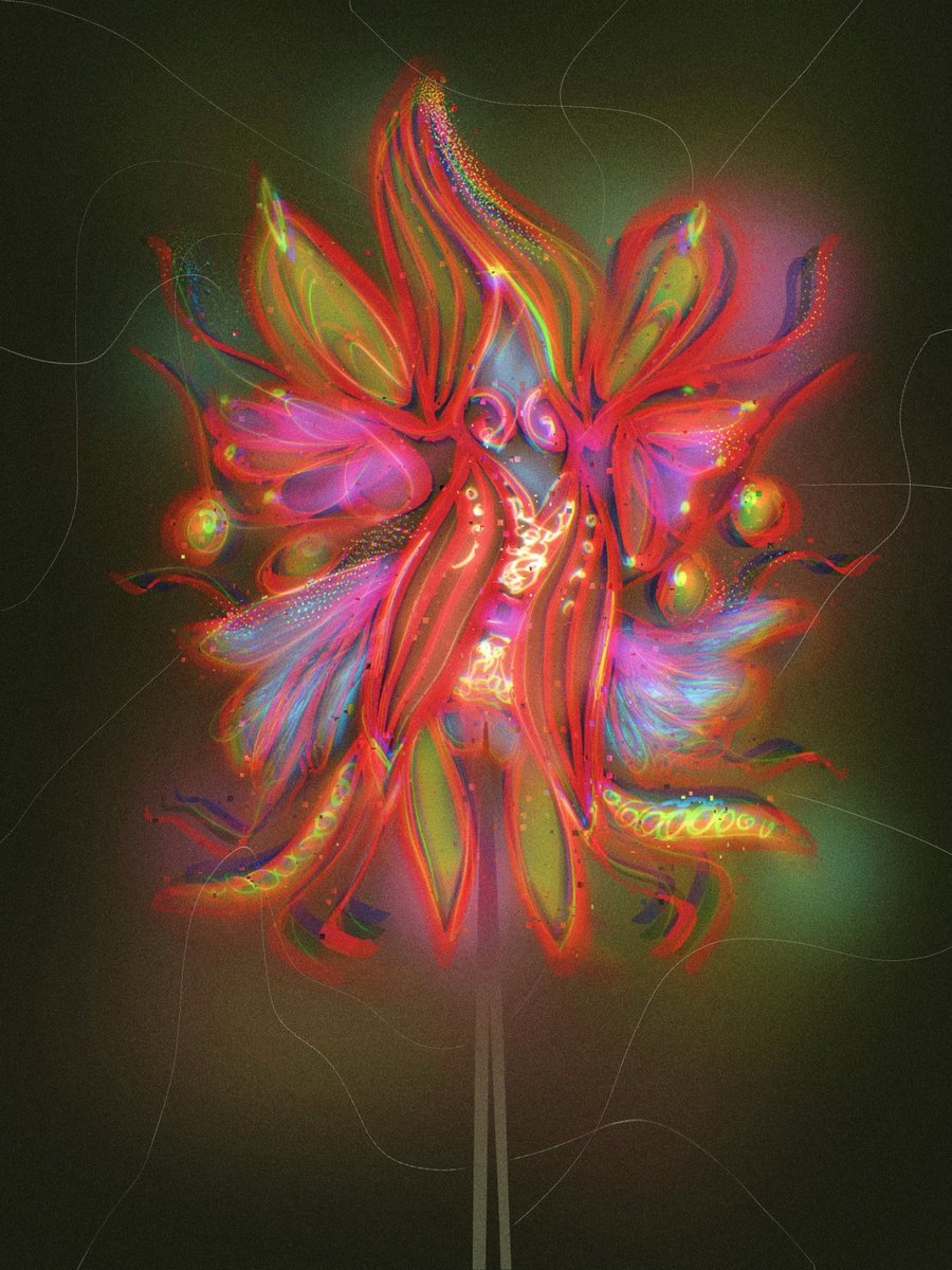 Iris 🐝 tweet media