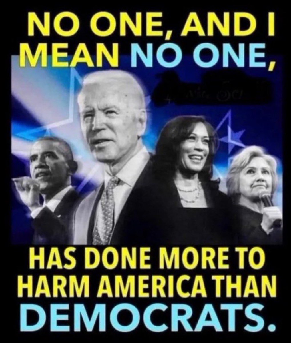 MAGAVoice's tweet image. YES or NO ?