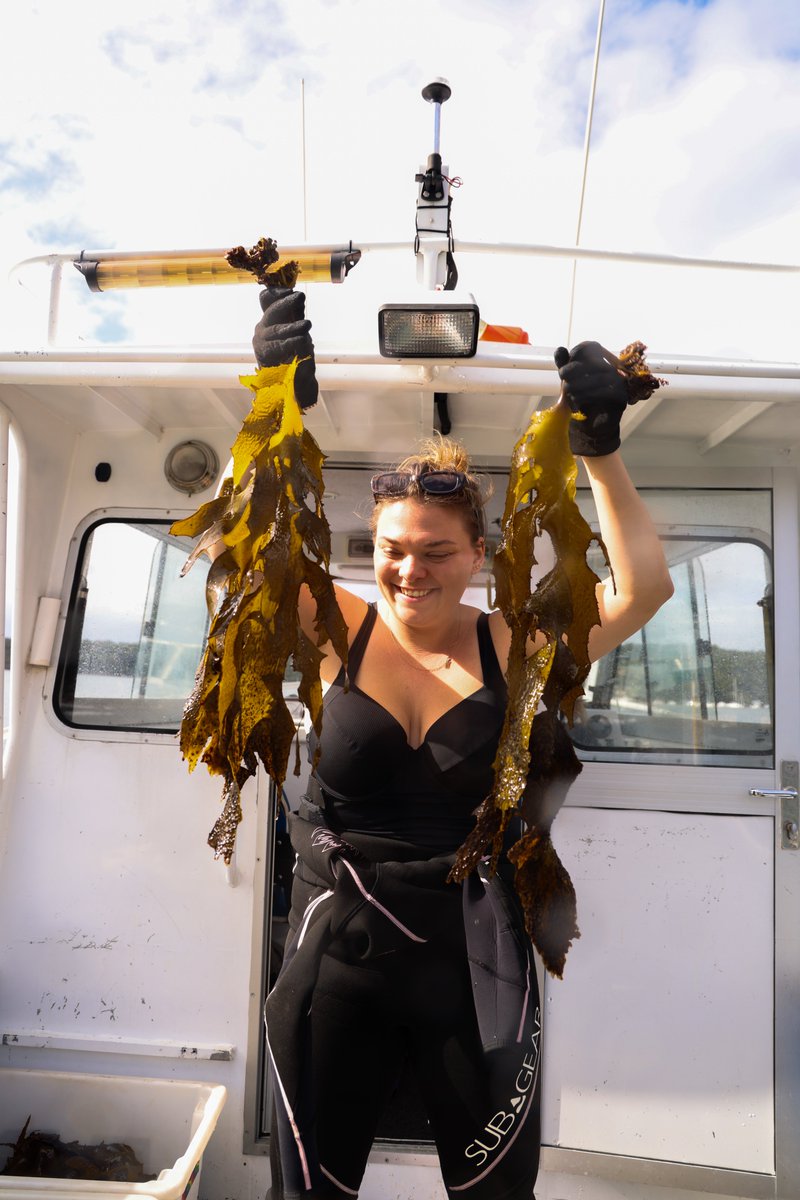 SEACS @seacs.bsky.social tweet media