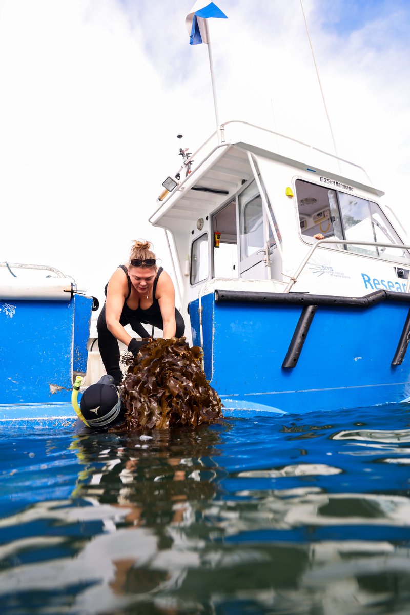 SEACS @seacs.bsky.social tweet media