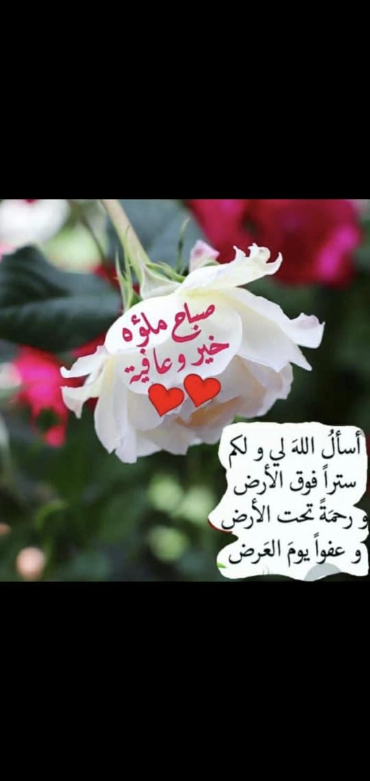 عمـر بارحيم 🤍🌹 (@omar57076582) on Twitter photo 