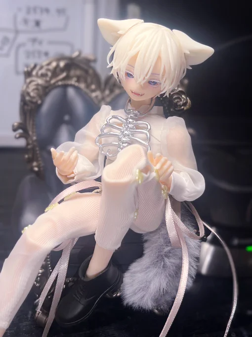 シチリアのネコちゃん