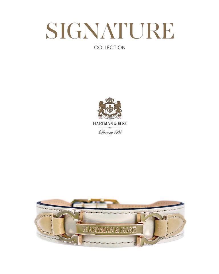 HartmanRose2's tweet photo. SUPER SELECTION OF LARGE SIZES
ALL INVENTORY NOW Only $39.99
Extra 25% off use code: LOVEWINS 
https://t.co/P5D64QOeCx
Shown Signature collar in Eggshell
Regular Prices up to $179.99
FINAL SALE. NO RETURNS. 
ABSOLUTELY NO EXCEPTIONS

#dog #dogleash #doglead #dogcollar #dogcollars https://t.co/jyIJBIGErL