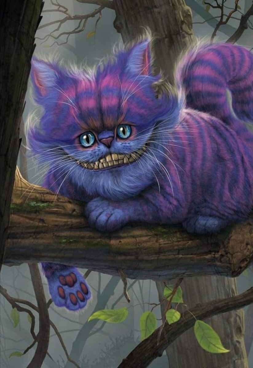 ms.badlike tweet media