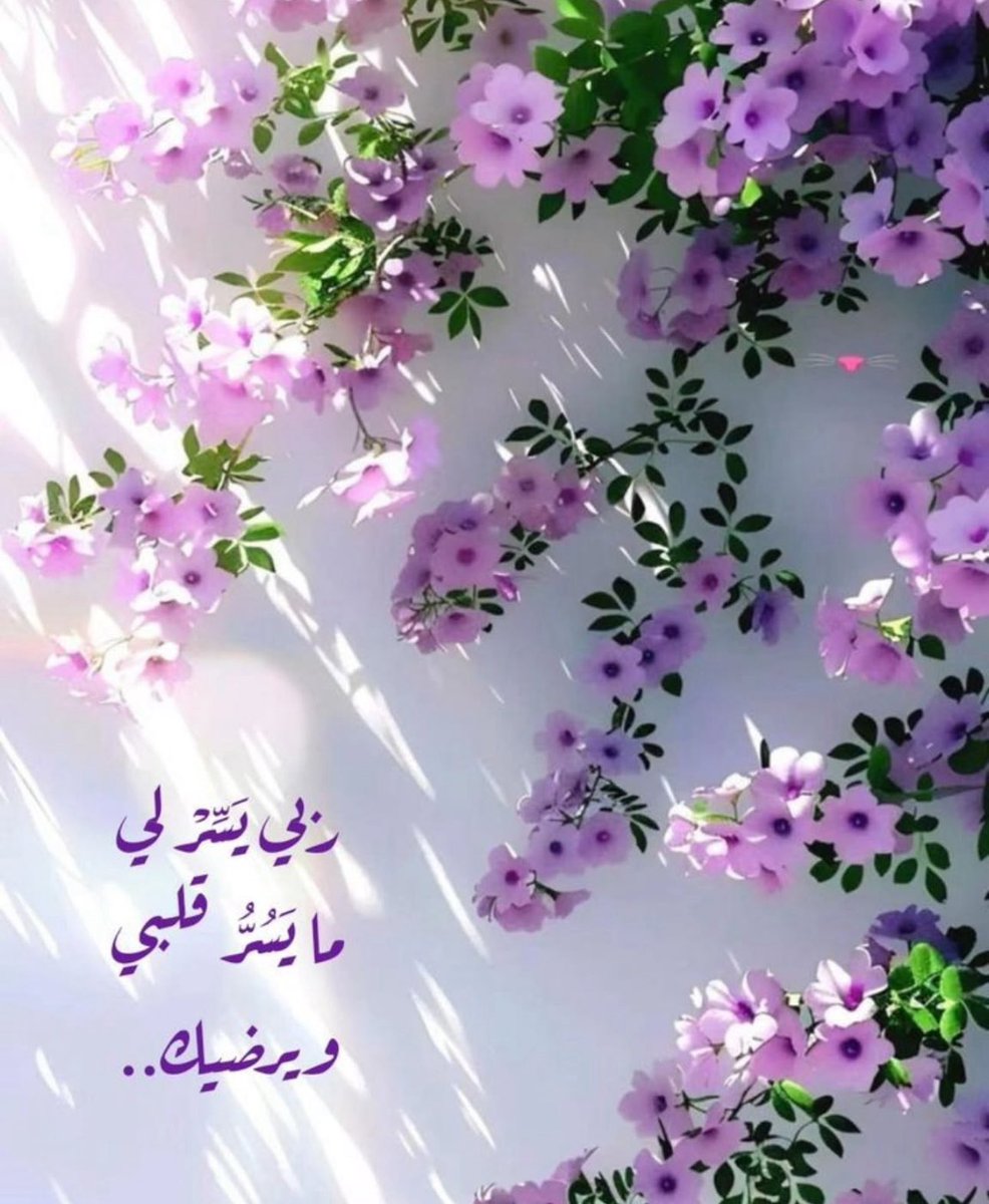 وتين♥️ (@tooto_tootooz) on Twitter photo 