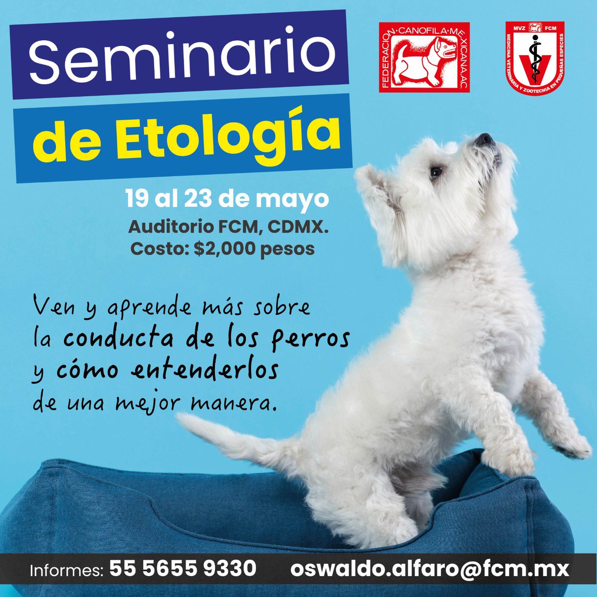 EscuelaFcm's tweet photo. Asiste a este Seminario de Etología canina y profundiza más sobre la conducta canina. 
Mayores informes:  oswaldo.alfaro@fcm.mx 
#etologíacanina #conductacanina https://t.co/3Y7LrMW37O