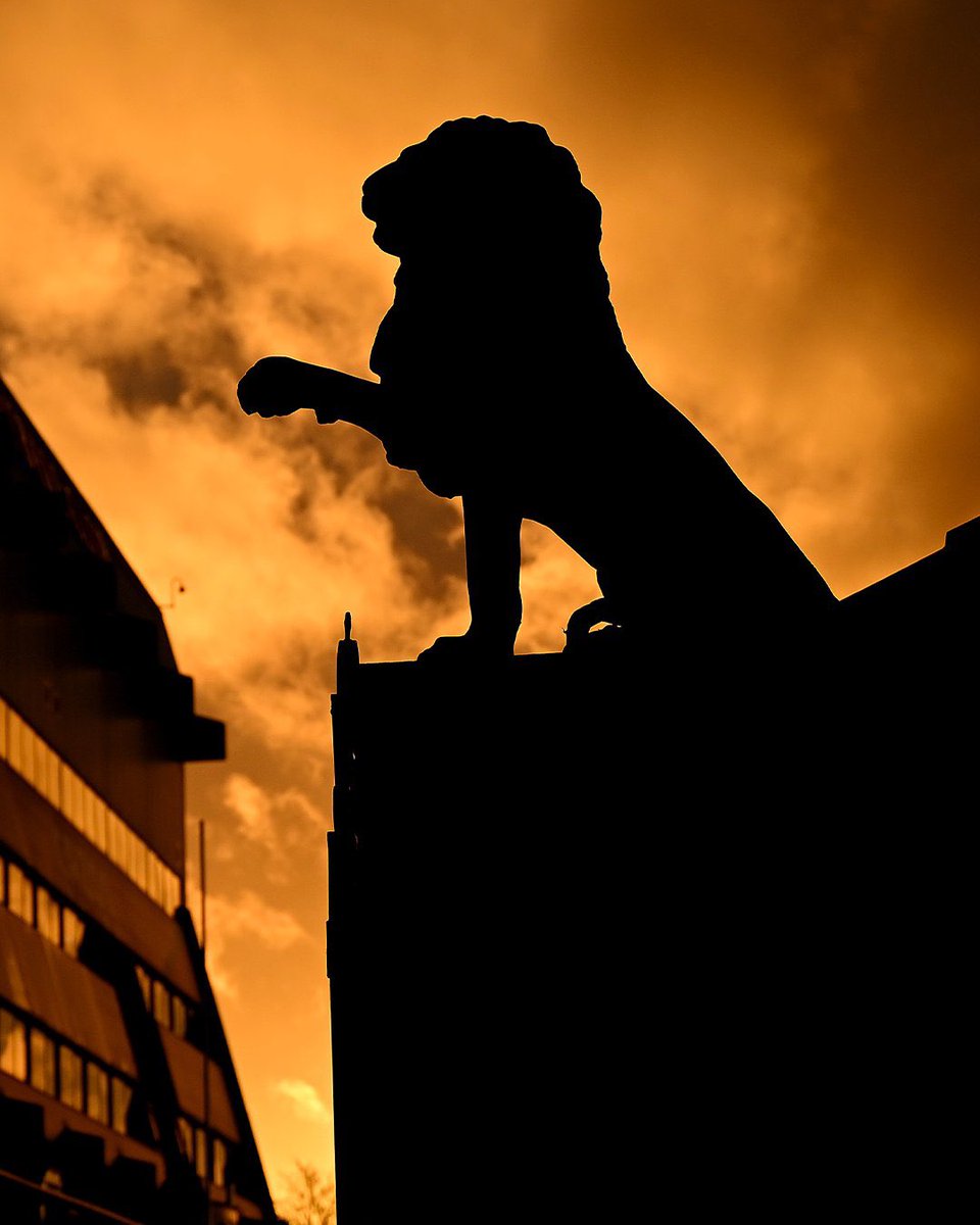 Paul Duffy tweet media