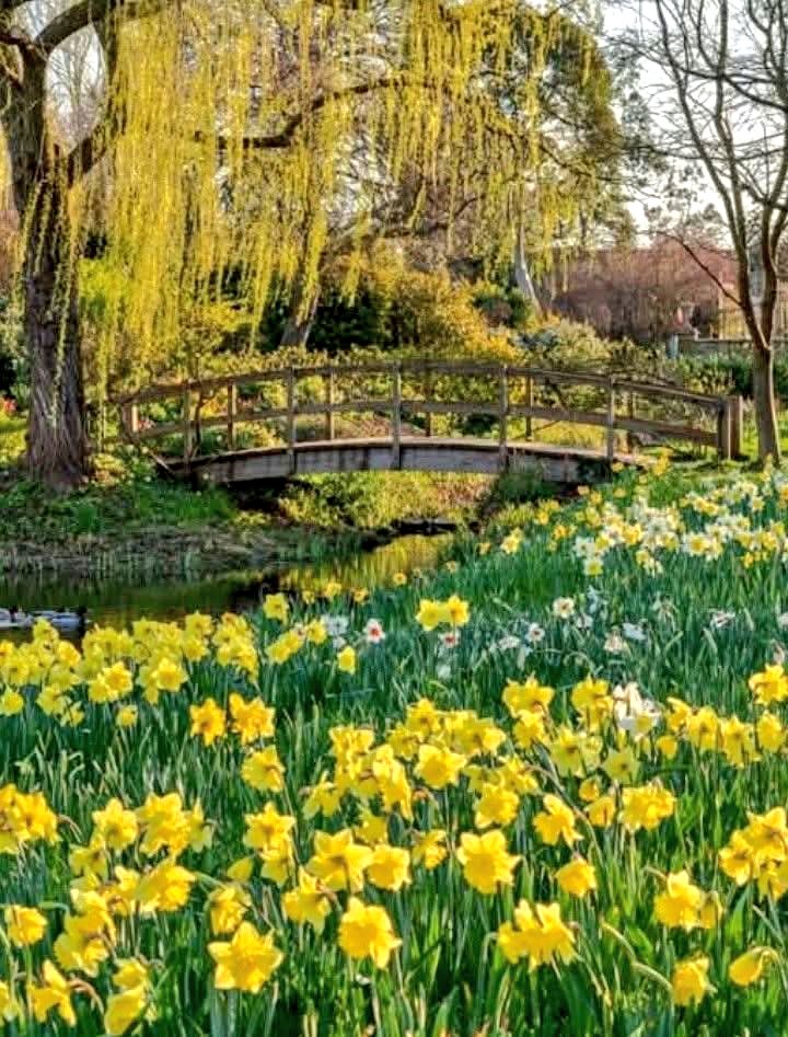 TLeoni311's tweet photo. Good morning ☀️ https://t.co/NyamnWh8lm