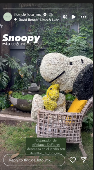 flordelotomx_'s tweet photo. Acá la verdad del supuesto secuestro de #Snoopy ¡No, no fue secuestro y no hay de qué preocuparse, está sano y salvo! Nuestro staff autorizado por #FYJA2025 que sale en el video, fue el encargado de resguardarlo ; ) https://t.co/GpFcBfImkF Solo está un poco cansado, pero todo bn https://t.co/LDq4UKHQGp