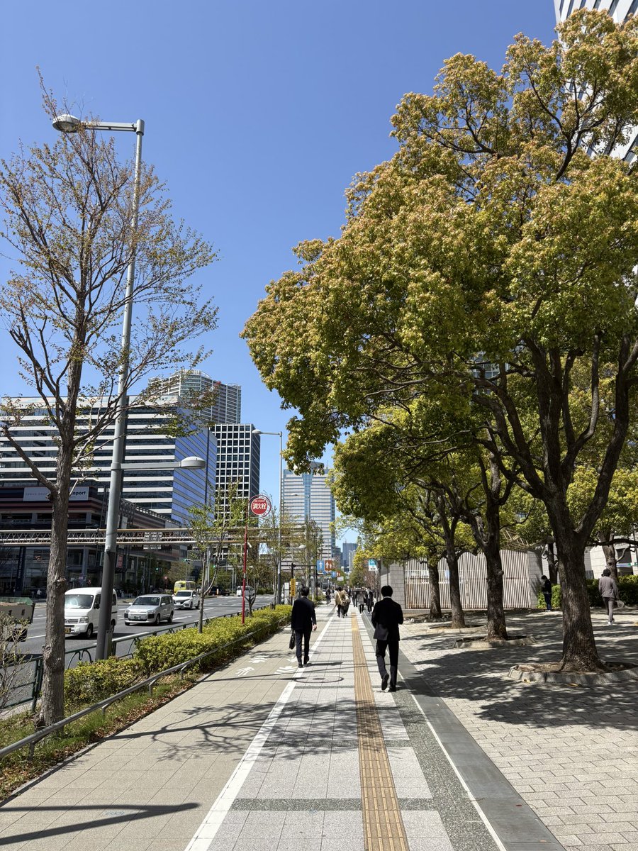 ariakefrogman's tweet photo. カエル的豊洲におけるランチタイムの過ごし方の王道 https://t.co/pSMezdj4te