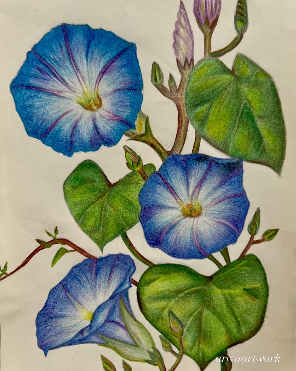 jiminsberri's tweet photo. Explore more unique artwork in my Etsy shop and find something special for your collection! #ArtThatSpeaks #Painting #EtsyShop #SupportArtists #art #PencilArt #DetailedDrawings #EtsyShop #ArtLovers #artisticdrawing #graphiteart #pencilart #floralart #flowers #artwork #drawing https://t.co/2pvOnhR7Nm