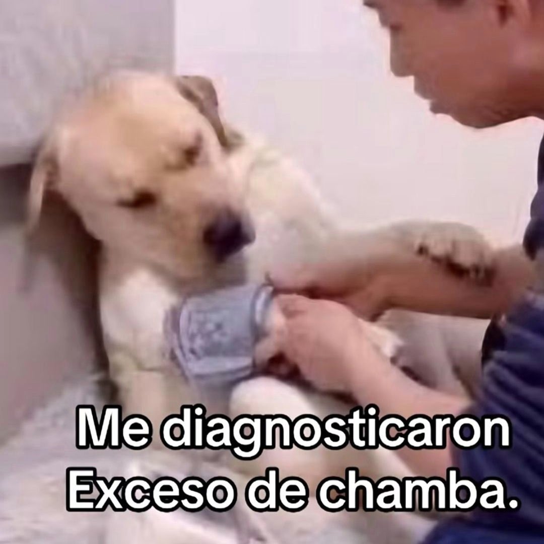 👨🏼‍🚀 ☻ tweet media