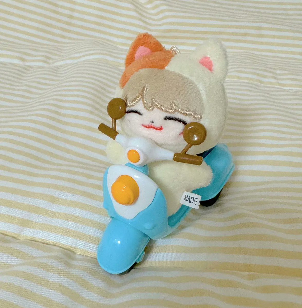 BamBOO : 🐱🤍✨️ tweet media