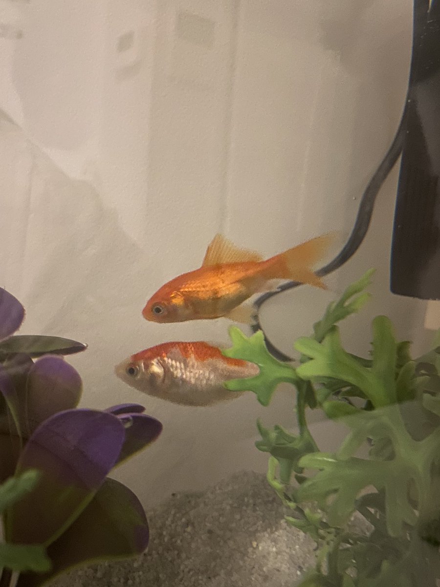 Mathilde 🌿🪴🌱 tweet media