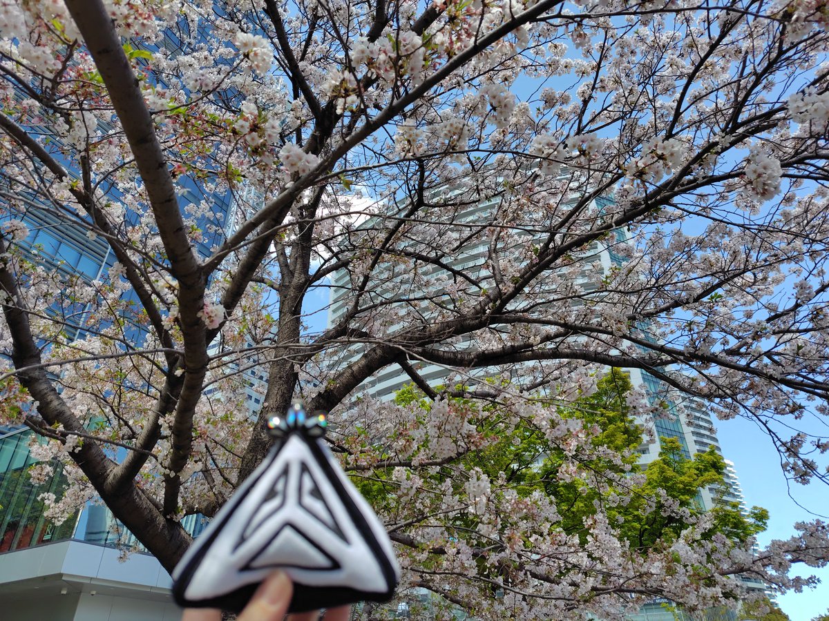 hama𖡿🌸 on X: hama𖡿🌸 on X: