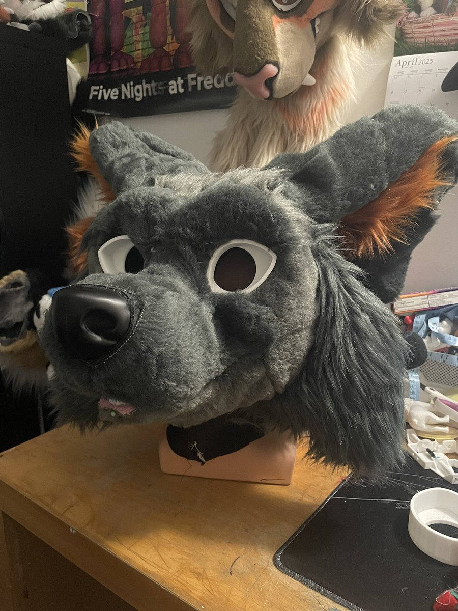 Ren🐾🍃 tweet media