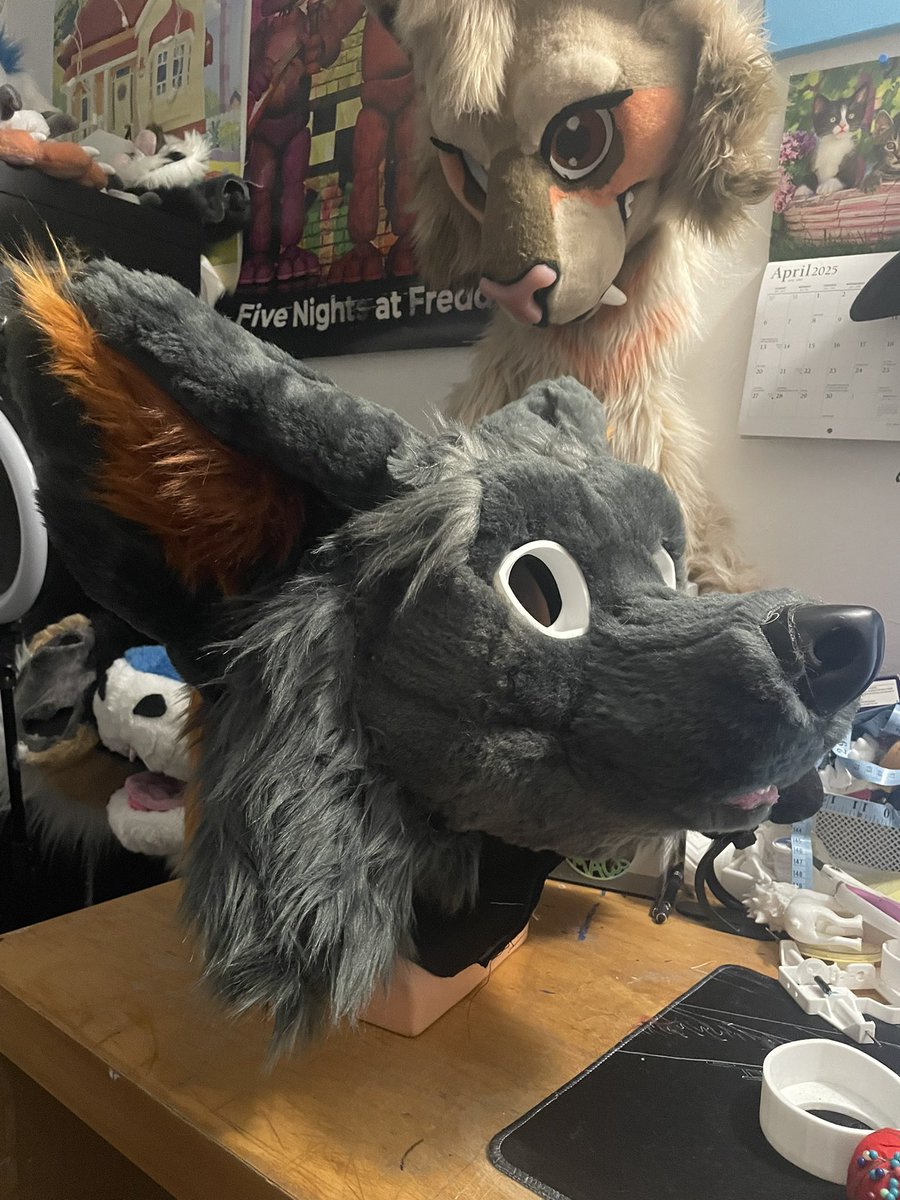 Ren🐾🍃 tweet media