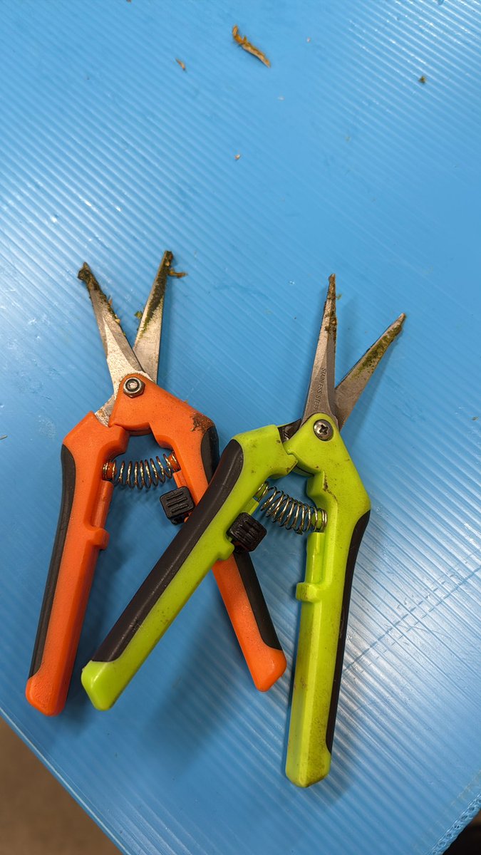 Can anyone guess what I’ve been doing for the last 5 hrs?