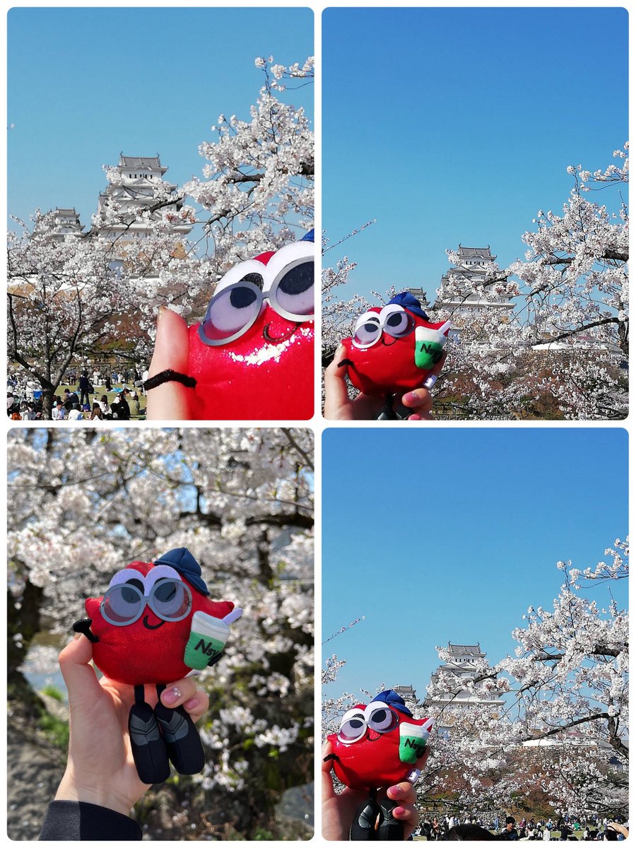 yotchan1519254's tweet photo. 🌸全国からNissyへ春をお届け📣🌸

#Nissy_Re10th 全力で完走したNissyへ全国から桜のプレゼント🎁

#Nissy_NBC
#Nissy_Re10th最高の到達点をありがとう
#Nissyに私達から春のお知らせ
#各地の桜
#NissyへLippy_Rujju_t*

@NissyStaff https://t.co/f00uFyH4Fi