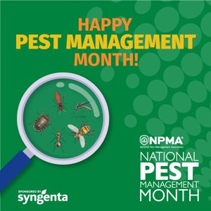 Srvcfirstpest's tweet photo. This National Pest Management Month, we spotlight the cutting-edge approaches transforming pest management. Innovation isn't just about new tools—it's about better protecting public health. #NPMM #AdvancingPestManagement https://t.co/VrWTkdTPLv