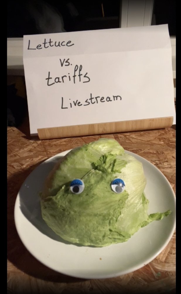 Both the lettuce and the tariffs survived the night!  

What will go first? The lettuce or the tariffs? 

livestream: twitch.tv/emileaben 

#LettuceVsTariffs #Lettuce #Tariffs #kakistocracy