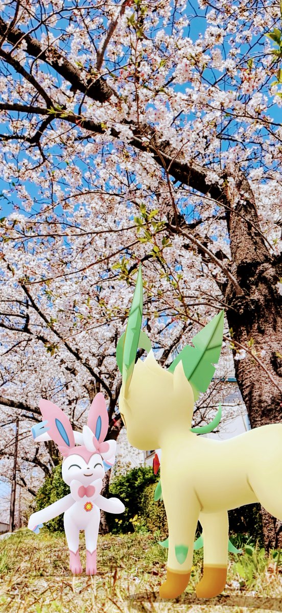 I Think We’re Alone Now😊
#ポケモンGO
#PokemonGO
#GOsnapshot
#GOsnapshotCelebration
#ARofTheDay