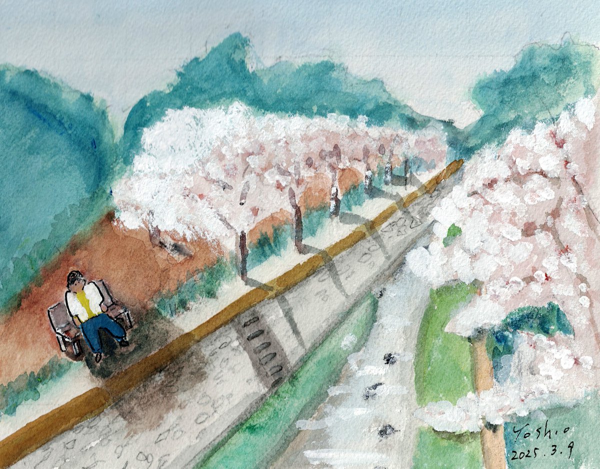 miyatacoffee's tweet photo. 水彩画の桜の描き方がどうにもわかりません。YouTubeで調べても納得できません。桜は散り始めてるし、しつこいですが、今年最後にもういちど描きました。
#リベンジ #水彩画 #夙川公園 https://t.co/T2D0fI7ExH