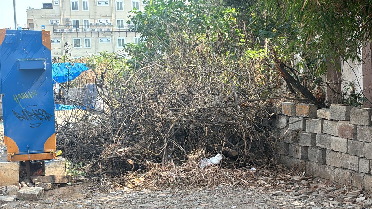 umaindia's tweet photo. Loc: Busy 5th Main, Sec 7, HSR Layout, nr Salarpuria Serenity.  Trees were cut by forest dept on 15/3/25 -was needed to  finish an incomplete drain. b
But these haven't been removed. work cant be completed till then. who is meant to clear it? Are we to clean up? and pay up? https://t.co/8blWNCsc75