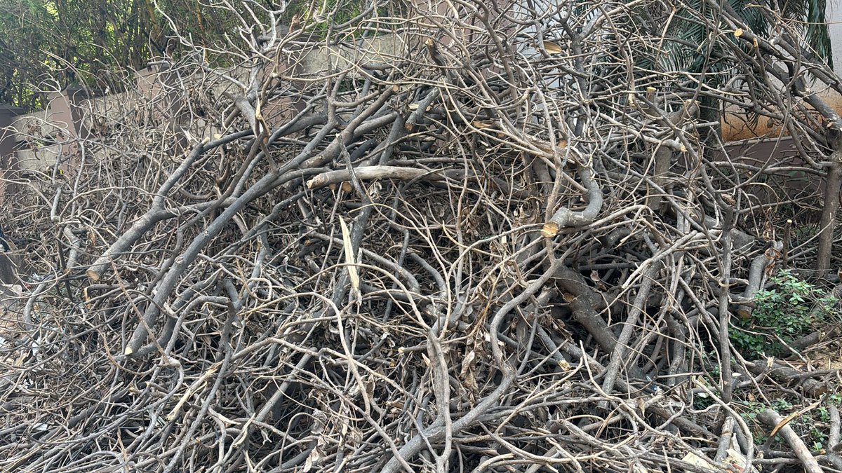 Loc: Busy 5th Main, Sec 7, HSR Layout, nr Salarpuria Serenity.  Trees were cut by forest dept on 15/3/25 -was needed to  finish an incomplete drain. b
But these haven't been removed. work cant be completed till then. who is meant to clear it? Are we to clean up? and pay up?