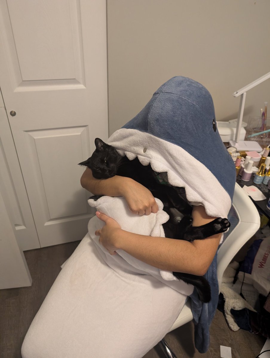 Pruben15's tweet photo. The shark will feed https://t.co/GcnxSSIErP