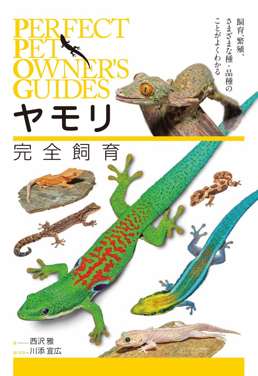 発売が遅れていたヤモリ完全飼育（誠文堂新光社）が、全国の専門店ほか書店に並び始めます。飼育タイプ別にカテゴライズしたヤモリの飼育書です。プリミオ西沢さん著。人気種から流通の少ない愛好家垂涎の種まで幅広く網羅。ぜひ手に取ってみてください！