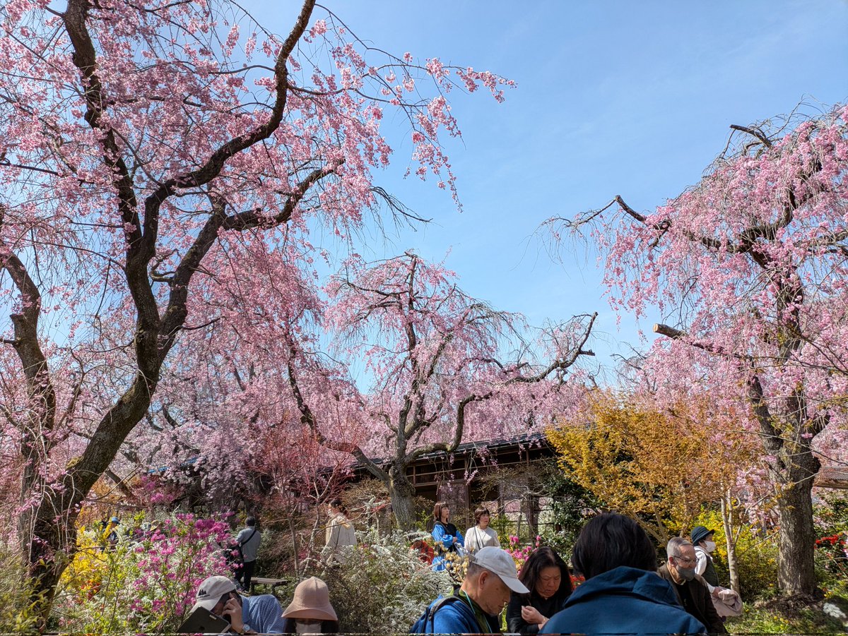 のりっぺ (@norippenorippe) / Posts / X