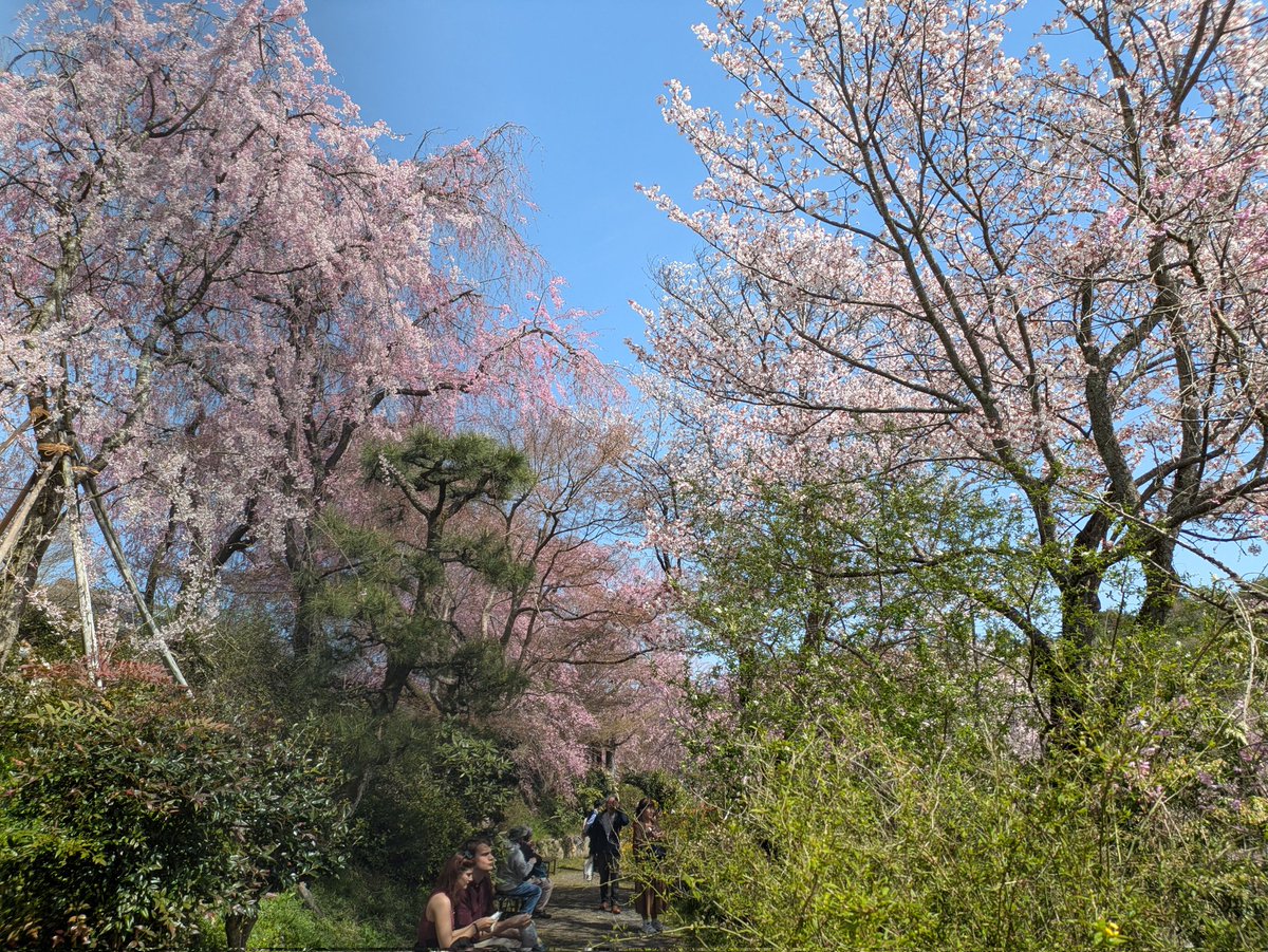 のりっぺ (@norippenorippe) / Posts / X