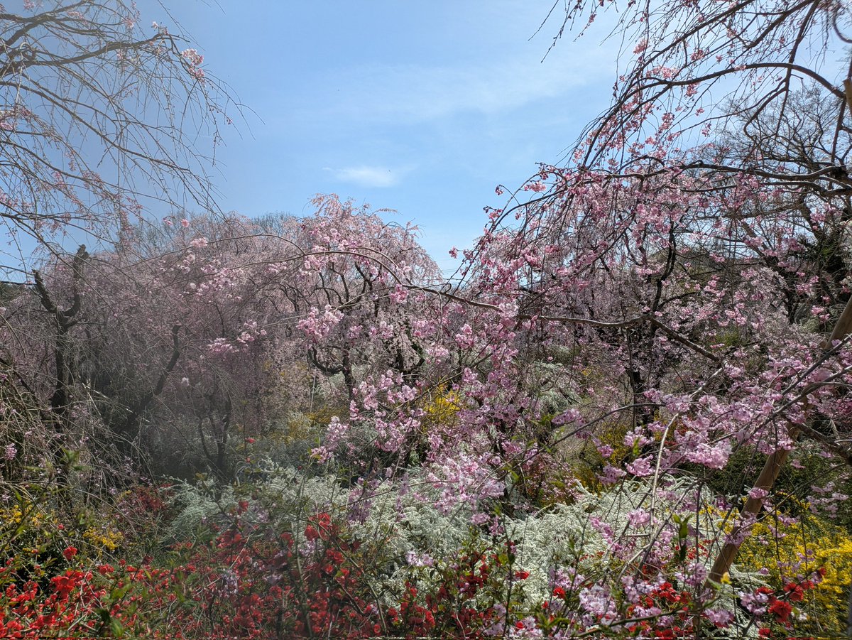 のりっぺ (@norippenorippe) / Posts / X